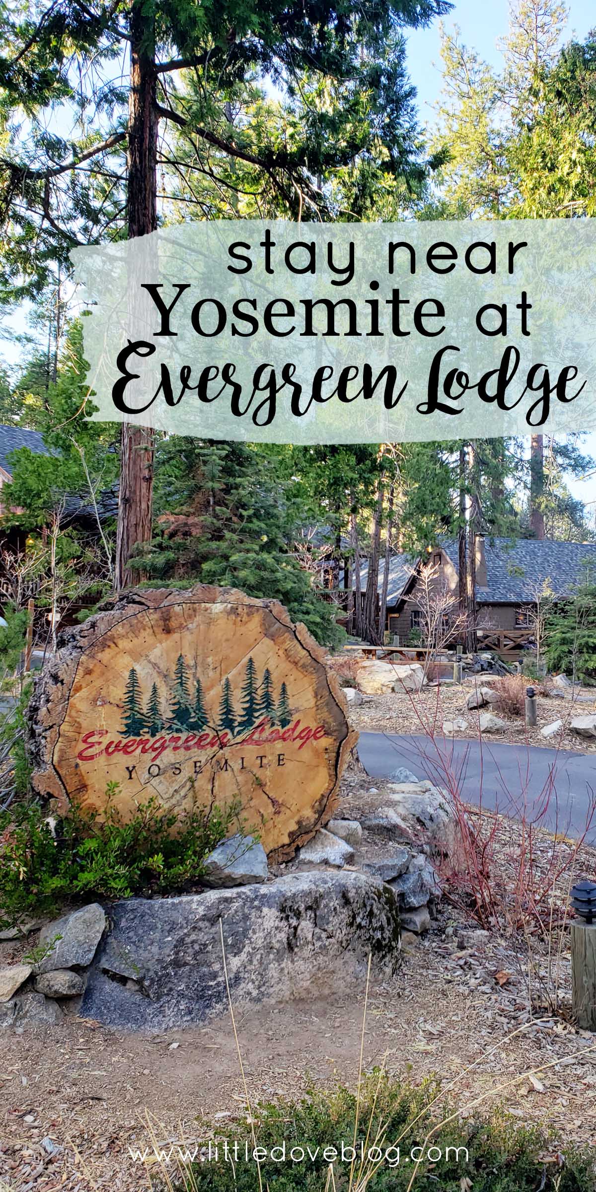 Stay At Evergreen Lodge Near Yosemite - Little Dove Blog