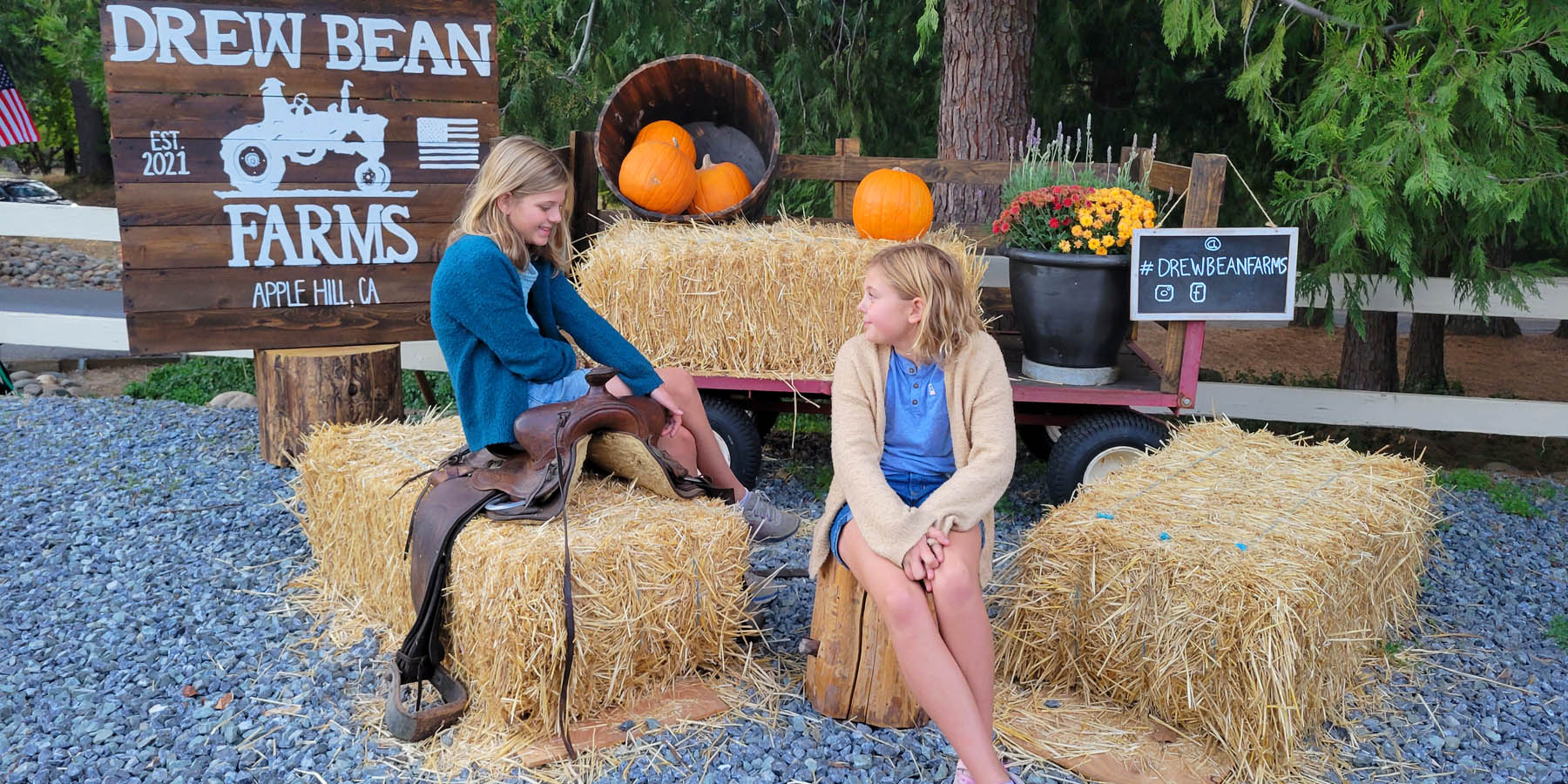 spend a weekend in Apple Hill with kids Little Dove Blog