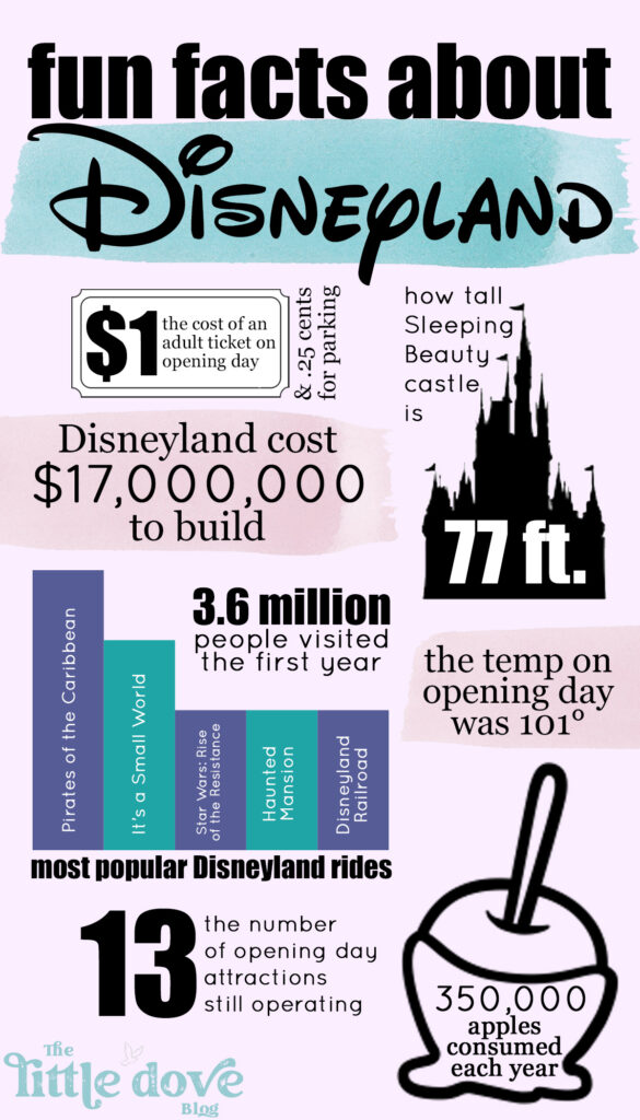 Facts About Disneyland You May Not Know - Little Dove Blog