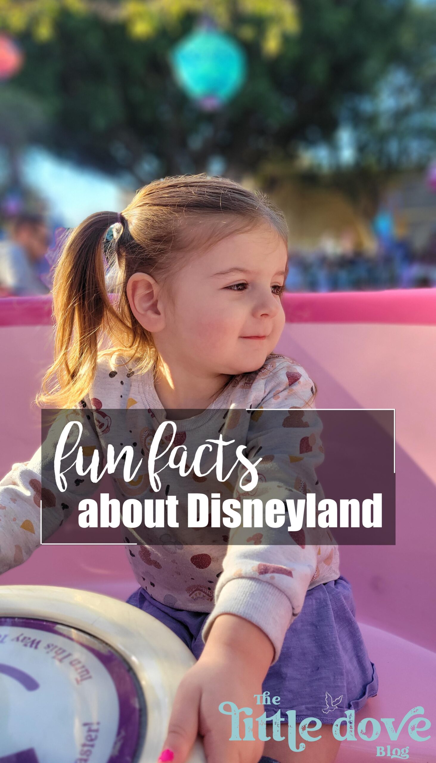 Facts About Disneyland You May Not Know - Little Dove Blog